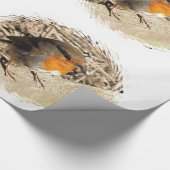 ロビン ラッピングペーパー (角)