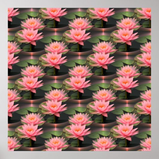 ロビン・リリー….. ポスター (正面)