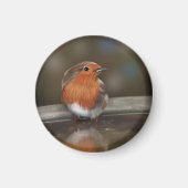 ロビン·レッド·乳房がお風呂を楽しむ マグネット (正面)