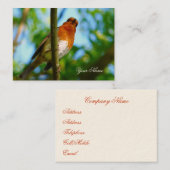 ロビン 名刺 (正面/裏面)