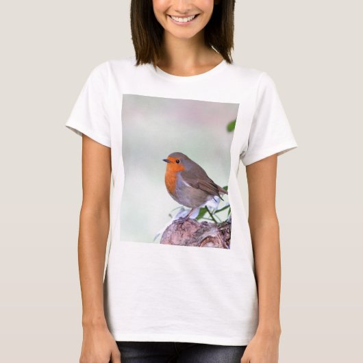 ロビン Tシャツ (正面)