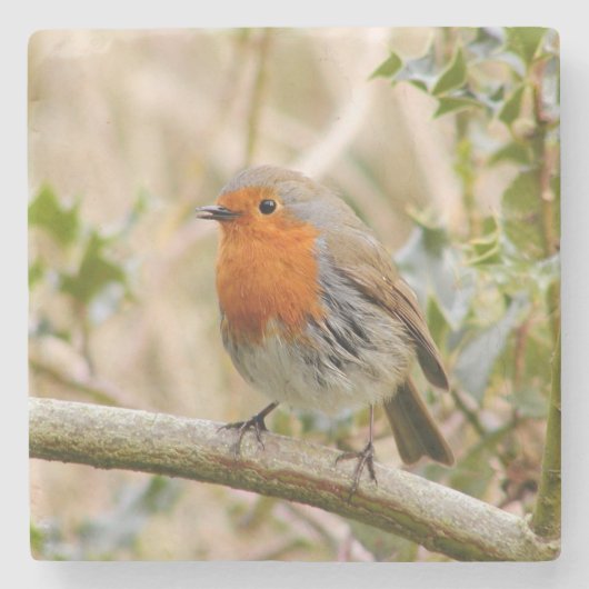 ロビ素晴らしン ストーンコースター (正面)