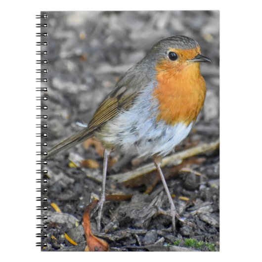 ロビ素晴らしン ノートブック (正面)