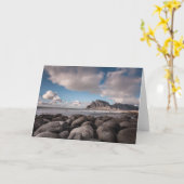 ロフォテンウタクレiv カード (黄色い花)