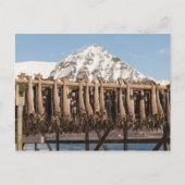 ロフォテンノルウェーストックフィッシュ ポストカード (正面)