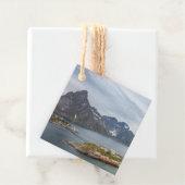 ロフォテン諸島ノルウェー フェイバータグ (インサイチュ)