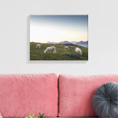 ロフォテン諸島ヒツジ キャンバスプリント (インサイチュ (リビング))