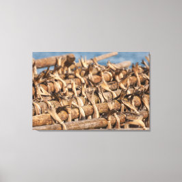 ロフォテン・ストックフィッシュ キャンバスプリント