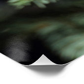 ロフォファネス徴候 ポスター (コーナー)