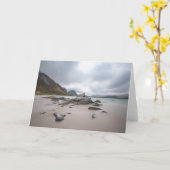 ロフォーテンラムバーグビーチ カード (黄色い花)