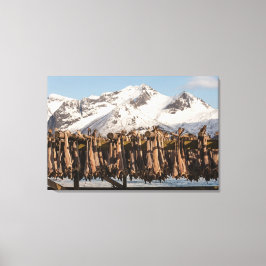 ロフテン諸島ストックフィッシュ キャンバスプリント