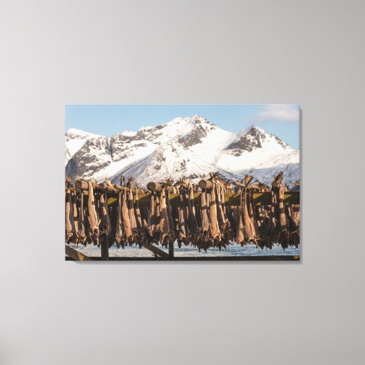 ロフテン諸島ストックフィッシュ キャンバスプリント (正面)