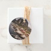 ロフテン魚釣りヴィレッジハンノヤ フェイバータグ (インサイチュ)