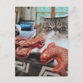 ロブスターと魚のコラージュと可愛い猫 ポストカード (正面)