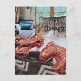 ロブスターと魚のコラージュと可愛い猫 ポストカード
