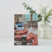 ロブスターと魚のコラージュを持つかわいい子猫 ポストカード (スタンド正面)