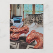 ロブスターと魚のコラージュを持つ子猫 ポストカード (正面)