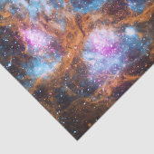 ロブスターの星雲 薄葉紙 (詳細)