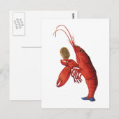 ロブスターのQuadrille ポストカード (正面/裏面)