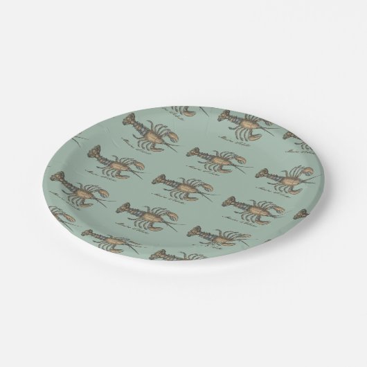 ロブスターイラストレーションアンティークメインシーフード ペーパープレート (アングル)