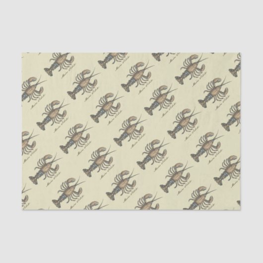 ロブスターイラストレーションアンティークメインシーフード 薄葉紙 (正面)