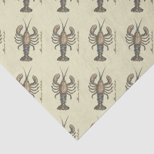 ロブスターイラストレーションアンティークメインシーフード 薄葉紙 (詳細)