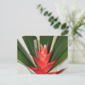 ロブスタークローヘリコニアフラワー ポストカード (スタンド正面)