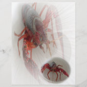 ロブスターチラシ チラシ (裏面)