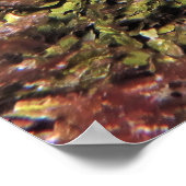 ロブスタートリ ポスター (角)