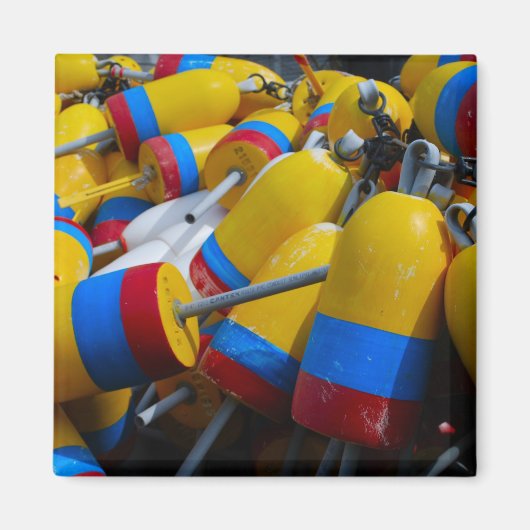 ロブスターブイ冷凍機磁石 マグネット (正面)