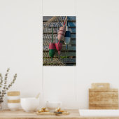 ロブスターブイ ポスター (キッチン)