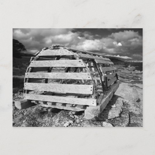 ロブスターポット ポストカード (正面)