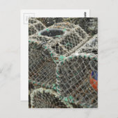 ロブスターポット ポストカード (正面/裏面)