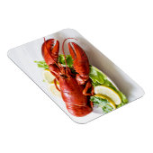 ロブスター写真 マグネット (右側)