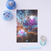 ロブスター星雲 – コズミックウィンターワンダーランド チラシ (シングル)