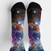 ロブスター星雲 ソックス (上部)