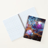 ロブスター星雲 ノートブック (内部)