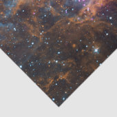 ロブスター星雲 薄葉紙 (詳細)