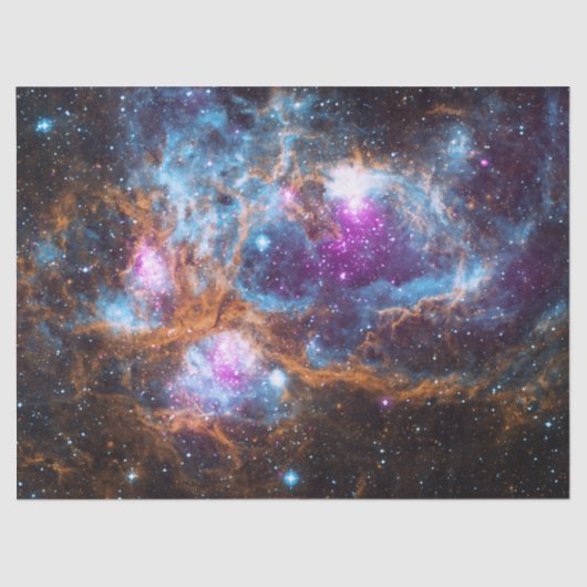 ロブスター星雲 薄葉紙 (正面)