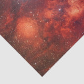 ロブスター星雲 薄葉紙 (詳細)