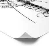 ロブスター白黒ヴィンテージイラストレーション ポスター (角)