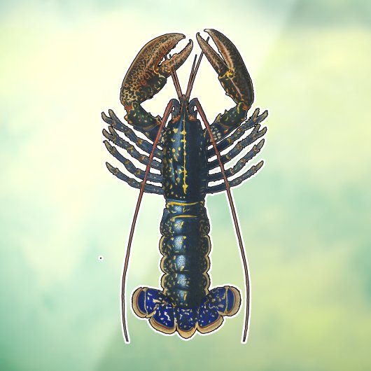 ロブスター貝類シーフードメインクラシック海 ウィンドウサイン (シート3)