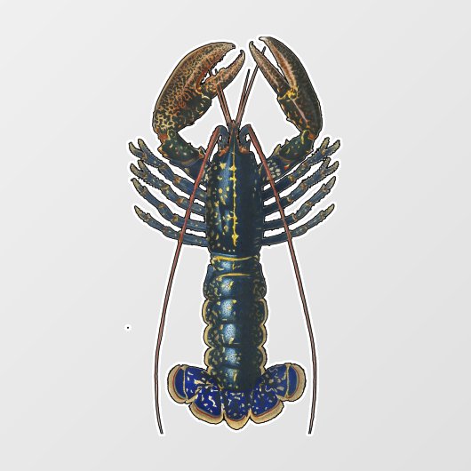 ロブスター貝類シーフードメインクラシック海 ウィンドウサイン (シート)