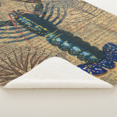 ロブスター貝類シーフードメインクラシック海 シェルパブランケット (3/4)