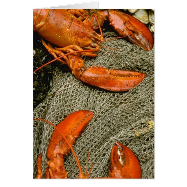 ロブスター (正面)