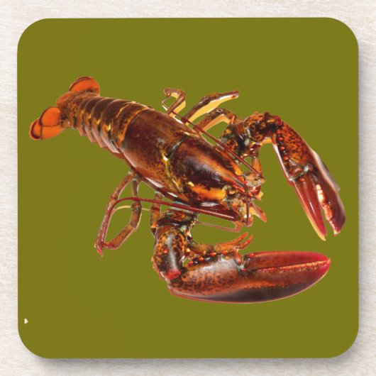 ロブスター コースター (正面)