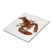 ロブスター タイル (側面)