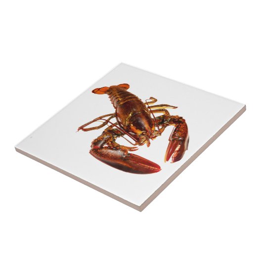 ロブスター タイル (側面)