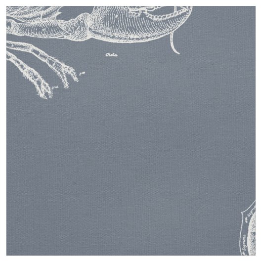 ロブスター ファブリック (クローズアップ)