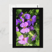 ロブリエテ ポストカード (正面/裏面)